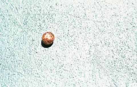 Snail in Wall Stock Photos