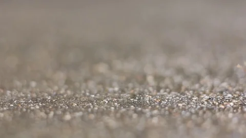 Snail on wet concrete. Stock Footage 70116031