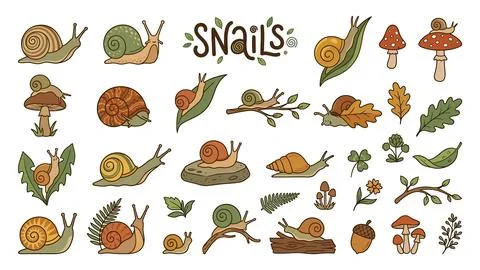 Snails and forest elements collection showing gastropods on leaves and mush.. Stock Illustration