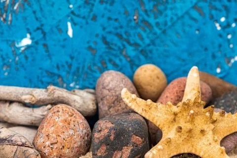 Snails and starfish in rustic blue wood Stock Photos