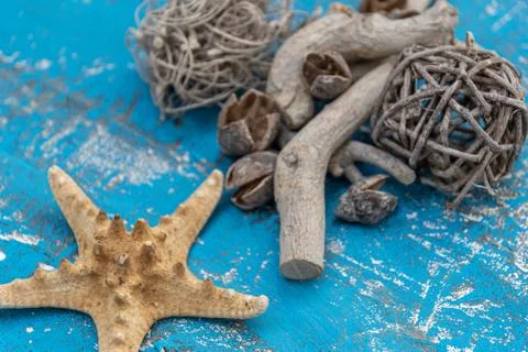 Snails and starfish in rustic blue wood Stock Photos