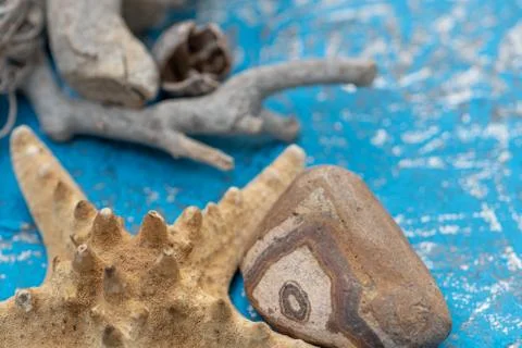 Snails and starfish in rustic blue wood Foto stock