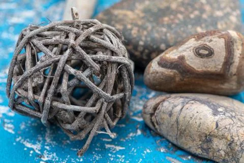 Snails and starfish in rustic blue wood 스톡 사진