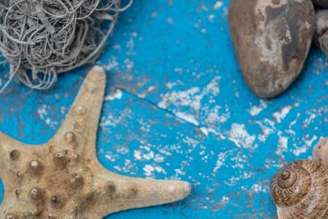 Snails and starfish in rustic blue wood Foto stock
