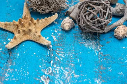 Snails and starfish in rustic blue wood Stock Photos