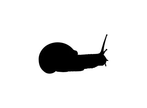 Snails are also called Escargot Silhouette Stock Illustration