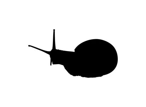 Snails are also called Escargot Silhouette Stock Illustration