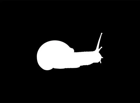 Snails are also called Escargot Silhouette Stock Illustration