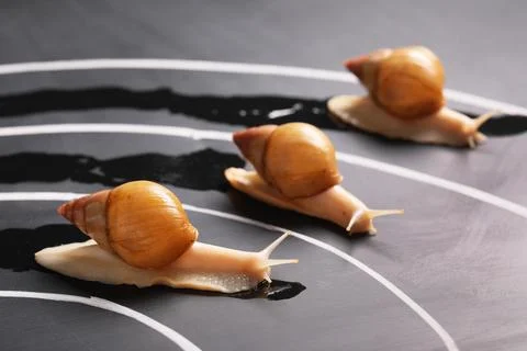 Snails on black racing track Stock Photos