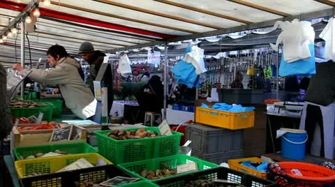 Snails in boxes Stock Footage 10882755