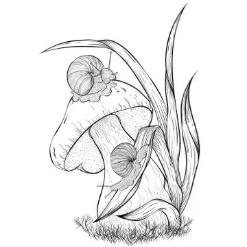 Snails crawling on mushroom Stock Illustration