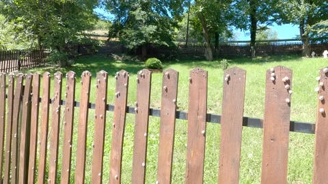 Snails on the fence Stock Footage 140162187