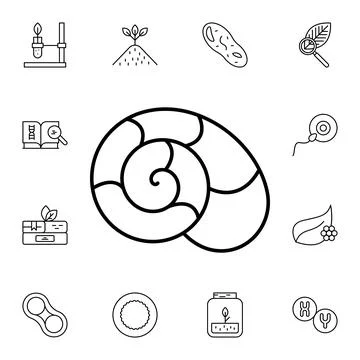 Snails flat vector icon in biology pack Stock Illustration