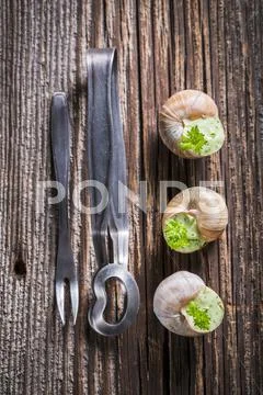 Snails with garlic butter and parsley being prepared for roasting Stock Photos