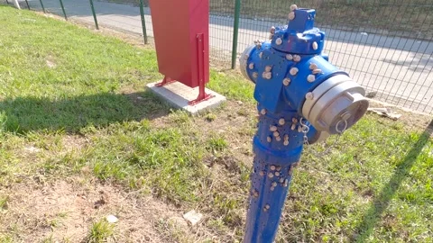 Snails in search of water Stock Footage 139980418