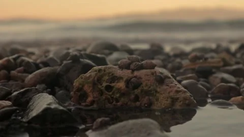 Snails on the Seashore with Mountain Background 動画素材 242140636