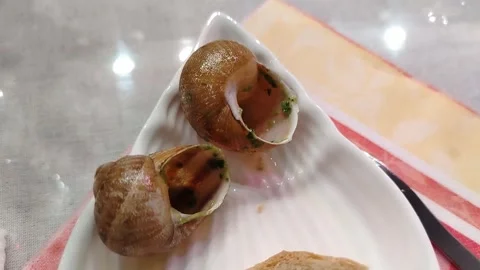 Snails served on a white plate with bread, showcasing a close-up view of the Stockbeeldmateriaal 332961631