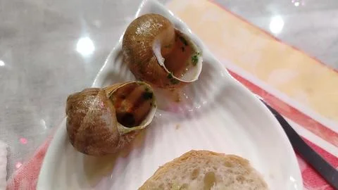 Snails served on a white plate with bread, showcasing a close-up view of th.. Foto stock