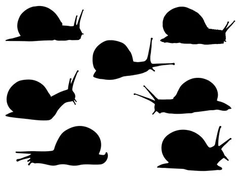 Snails silhouette vector art Stock Illustration