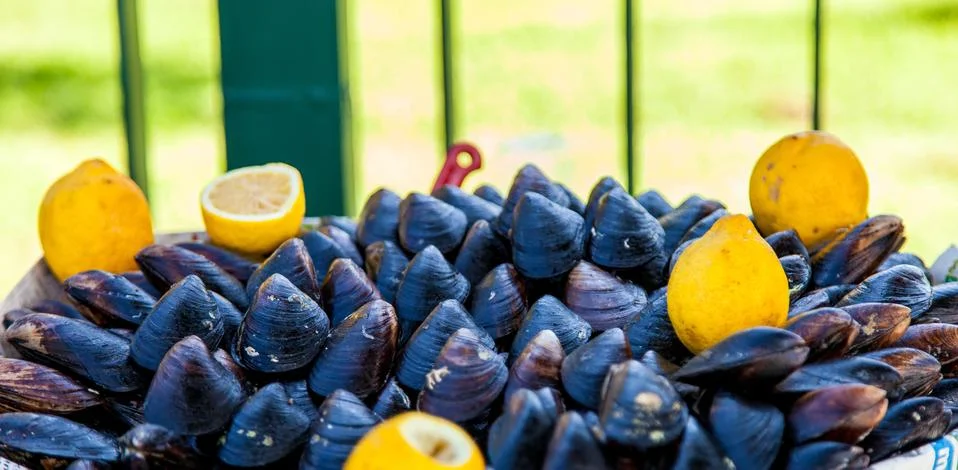 Snails on the tray Stock Photos