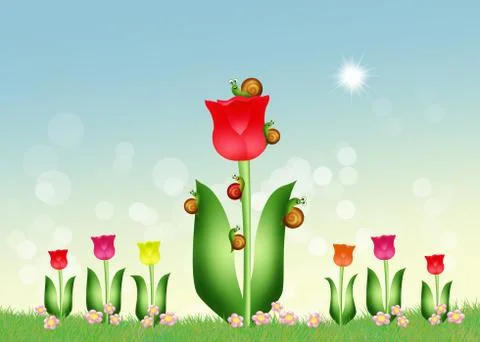 Snails on tulip Stock Illustration