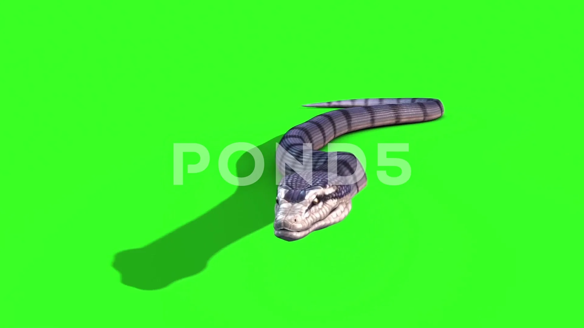 anaconda 3