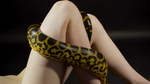 Snake anaconda crawling on lying woman's legs Video stock 115090887
