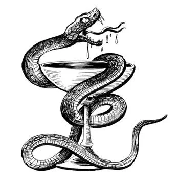 Snake and cup Illustrazione stock