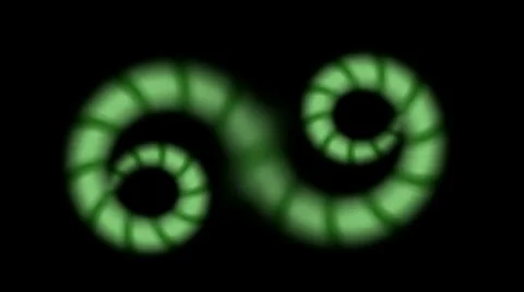 Snake and nematode,earthworm.abstract,backgrounds,animation, Vídeo Stock 5500463