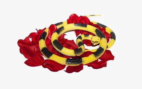 Snake and Roses Stock Photos