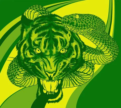 Snake and tiger fighting, vector illustration art 스톡 일러스트