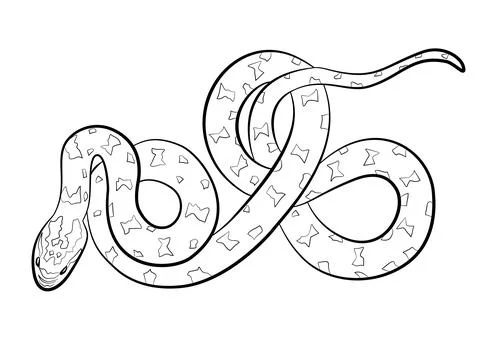 Snake Animal Line Vector Illustration Isolated on White Background Stock Illustration
