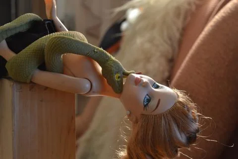Snake attacking a doll Stock Photos