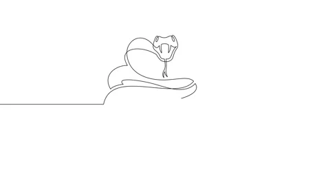 A snake in an attacking position. Video stock 246137526