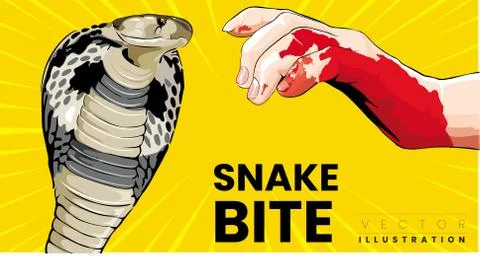 Snake bite on arm Cobra snake bite man hand need first Aid and dangerous イラスト素材
