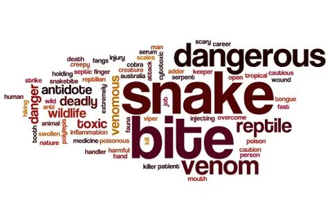 Snake bite word cloud Stock Illustration