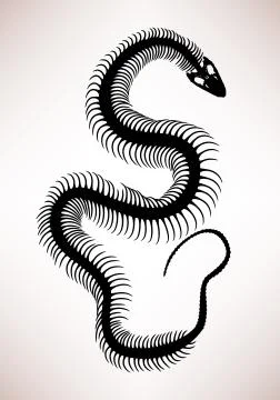 Snake Bone Skeleton Stock-Illustration