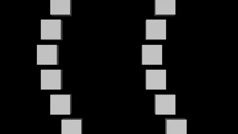 Snake box greyscale Stock Footage 99724357