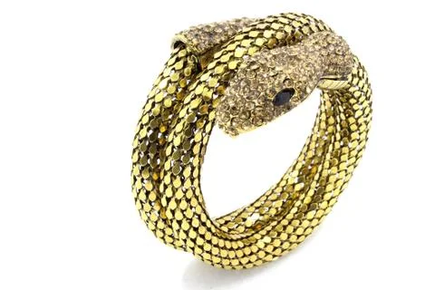 Snake bracelet Fotos de archivo