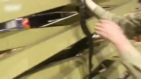 Snake Catcher Retrieves Carpet Python from Shopping Center, Noosaville, Queensla Stockbeeldmateriaal 205277284