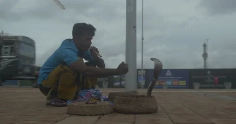 Snake Charmer Colombo Stock Footage 57693860