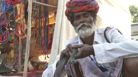 Snake charmer in India Stock Footage 719927