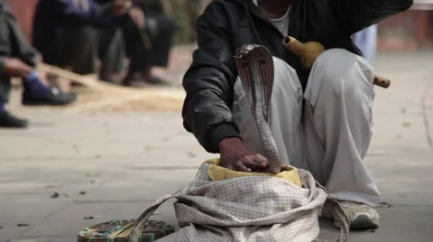 Snake Charmer in India Stock Footage 40244664
