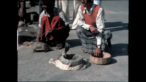 Snake Charmer Performance Stock Footage 276292422