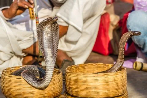 Snake charmer Stock Photos