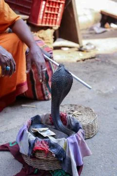 The snake charmer Stock Photos