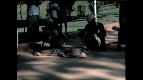 Snake Charmers with Cobras Video stock 276292526