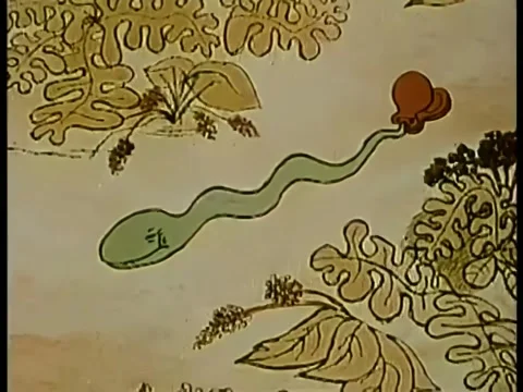 Snake with clapping tail Vidéo 260247037