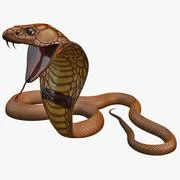 Snake Cobra Pose 5 ~ 3D Model ~ Download #89226688