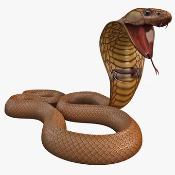3D model Eastern Brown Snake - Static Poses VR / AR / low-poly | CGTrader